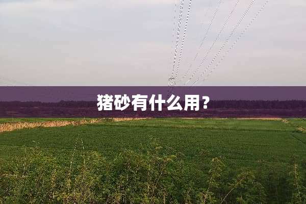 猪砂有什么用？