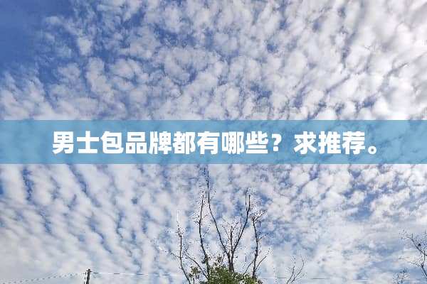 男士包品牌都有哪些？求推荐。