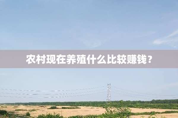 农村现在养殖什么比较赚钱？