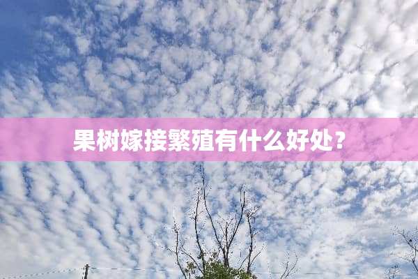 果树嫁接繁殖有什么好处？