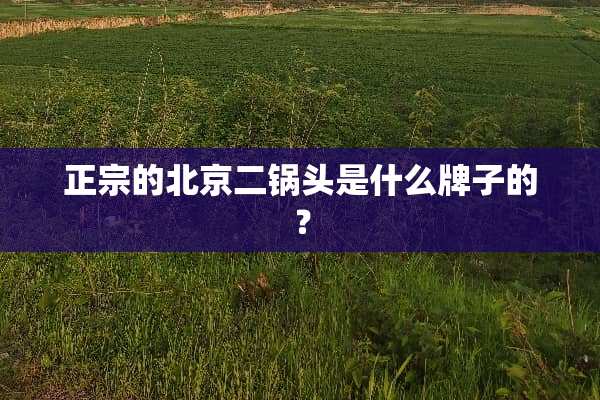 正宗的北京二锅头是什么牌子的？