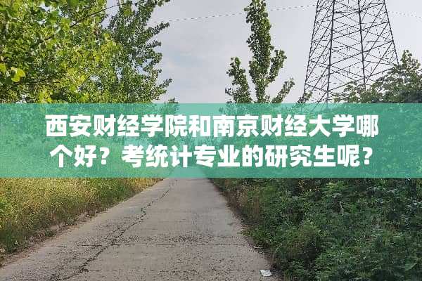 西安财经学院和南京财经大学哪个好？考统计专业的研究生呢？