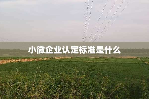 小微企业认定标准是什么
