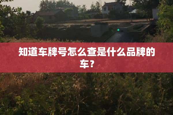 知道***怎么查是什么品牌的车？