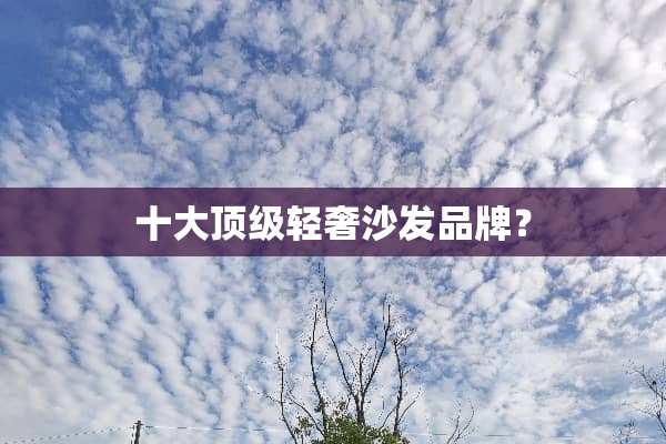 十大**轻奢沙发品牌？
