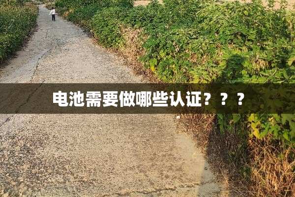 电池需要做哪些认证？？？