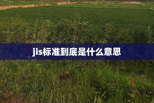 jis标准到底是什么意思