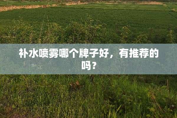 补水喷雾哪个牌子好，有推荐的吗？