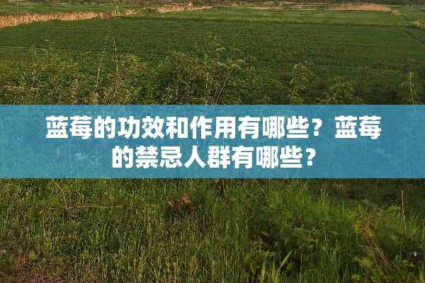 蓝莓的功效和作用有哪些？蓝莓的禁忌人群有哪些？