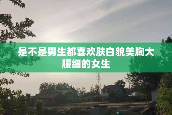 是不是男生都喜欢肤白貌美胸大腰细的女生