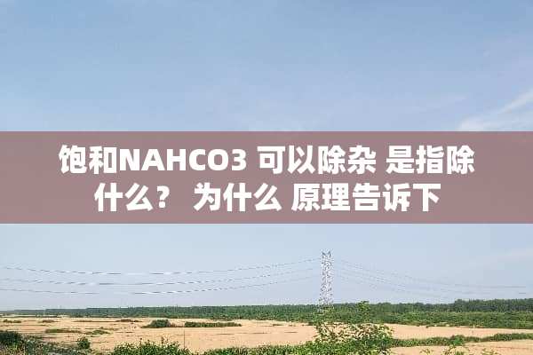 饱和NAHCO3 可以除杂 是指除什么？ 为什么 原理告诉下