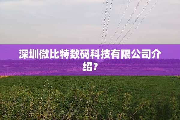 深圳微比特数码科技有限公司介绍？