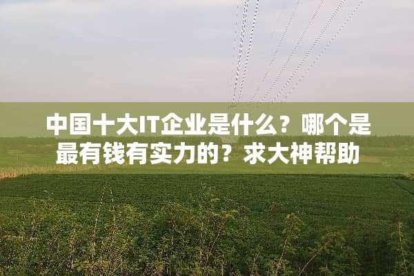 中国十大IT企业是什么？哪个是最有钱有实力的？求大神帮助