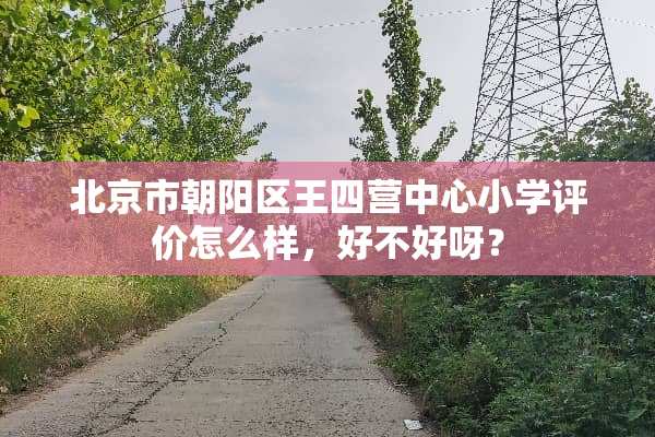 北京市朝阳区王四营中心小学评价怎么样，好不好呀？