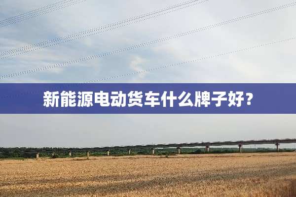新能源电动货车什么牌子好？