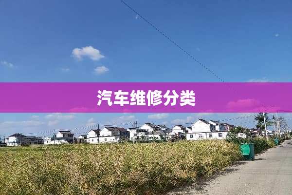 汽车维修分类