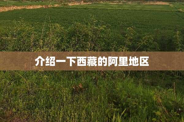 介绍一下西藏的阿里地区