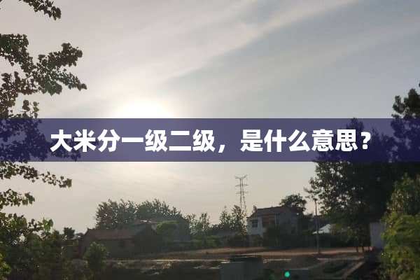 大米分一级二级，是什么意思？