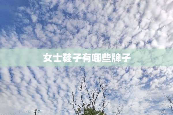 女士鞋子有哪些牌子