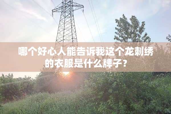 哪个好心人能告诉我这个龙刺绣的衣服是什么牌子？