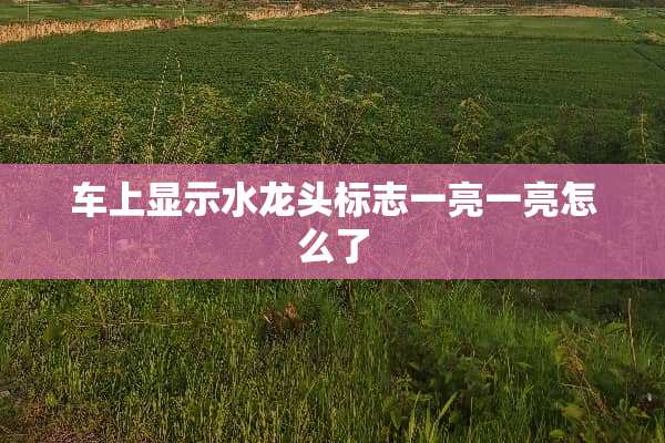 车上显示水龙头标志一亮一亮怎么了