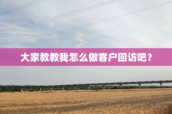 大家教教我怎么做客户回访吧？