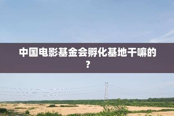 中国电影基金会孵化基地干嘛的？