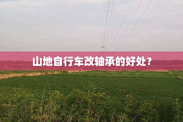 山地自行车改轴承的好处？