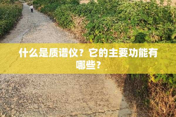 什么是质谱仪？它的主要功能有哪些？