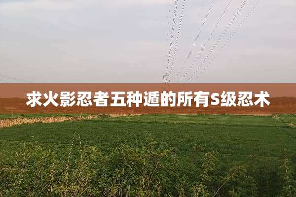 求火影忍者五种遁的所有S级忍术