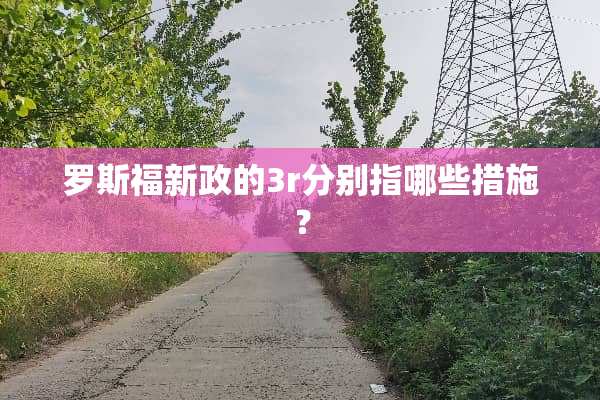 罗斯福新政的3r分别指哪些措施？