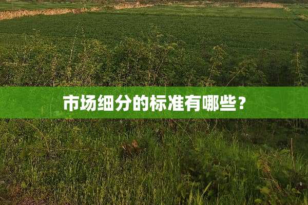 市场细分的标准有哪些？