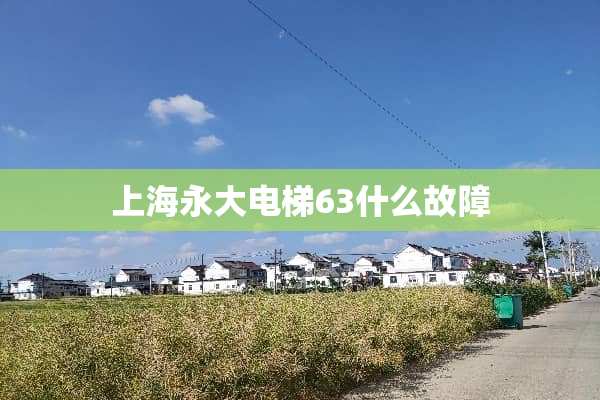 上海永大电梯63什么故障