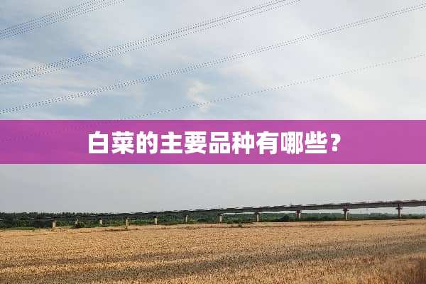 白菜的主要品种有哪些？