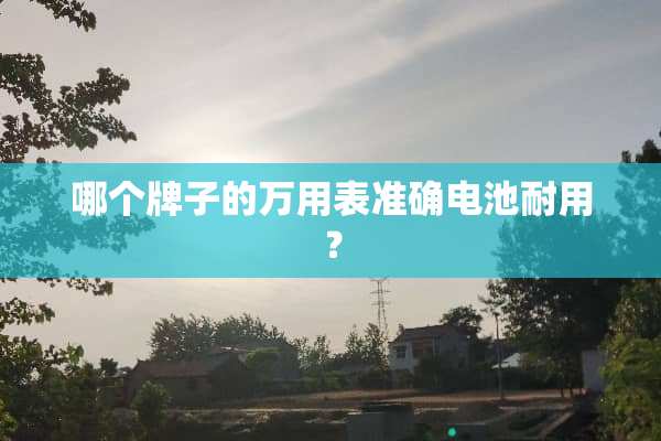 哪个牌子的万用表准确电池耐用？
