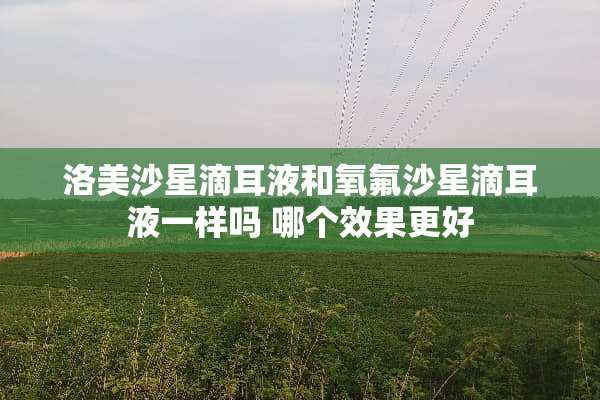 洛美沙星滴耳液和氧氟沙星滴耳液一样吗 哪个效果更好