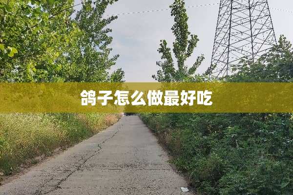 鸽子怎么做最好吃