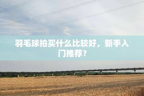 羽毛球拍买什么比较好，新手入门推荐？