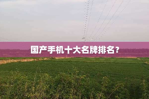 国产手机十大名牌排名？