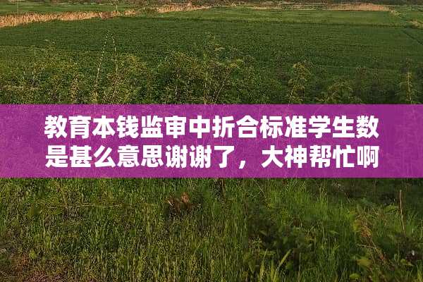 教育本钱监审中折合标准学生数是甚么意思谢谢了，大神帮忙啊
