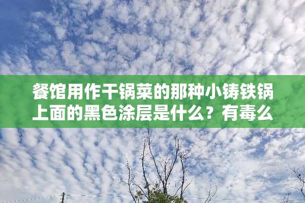 餐馆用作干锅菜的那种小铸铁锅上面的黑色涂层是什么？有毒么？
