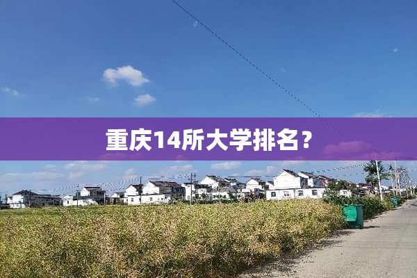重庆14所大学排名？