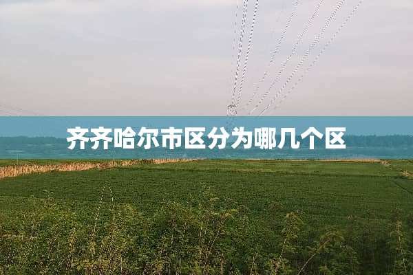 齐齐哈尔市区分为哪几个区