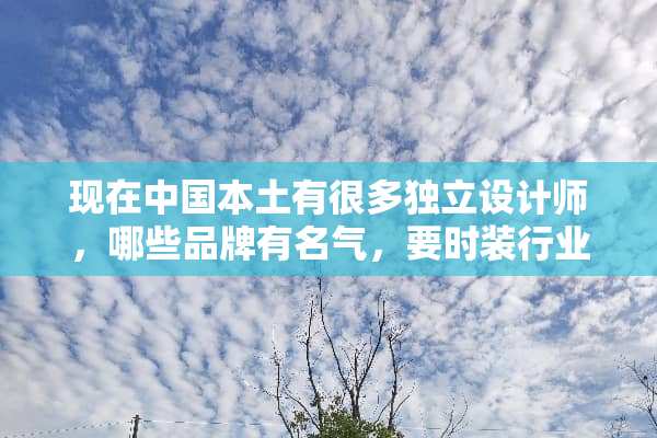 现在中国本土有很多**设计师，哪些品牌有名气，要时装行业的...