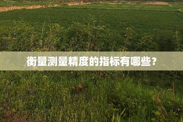 衡量测量精度的指标有哪些？