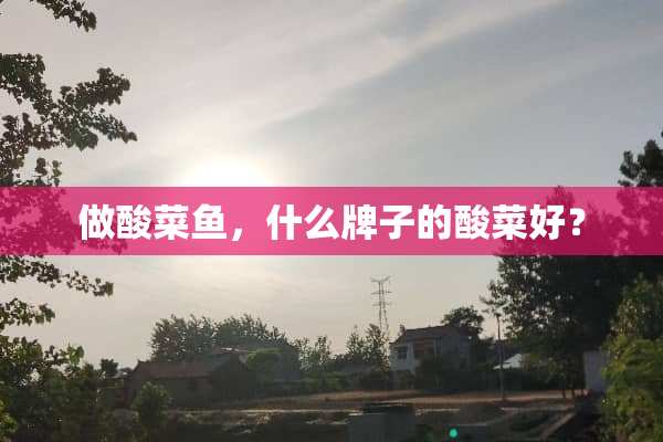 做酸菜鱼，什么牌子的酸菜好？