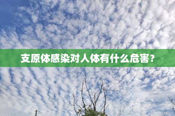 支原体感染对人体有什么危害？