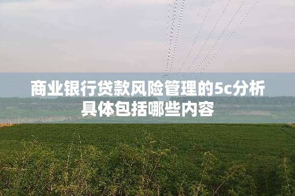 商业银行贷款风险管理的5c分析具体包括哪些内容