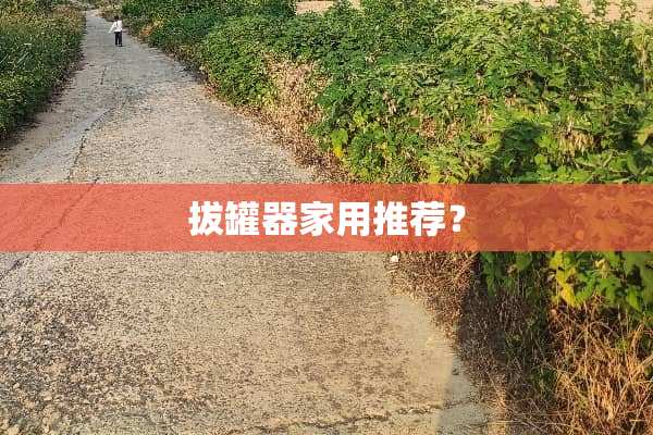 拔罐器家用推荐？