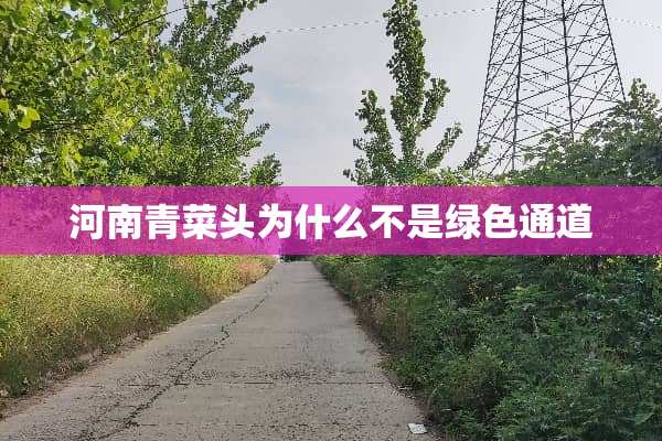 河南青菜头为什么不是绿色通道